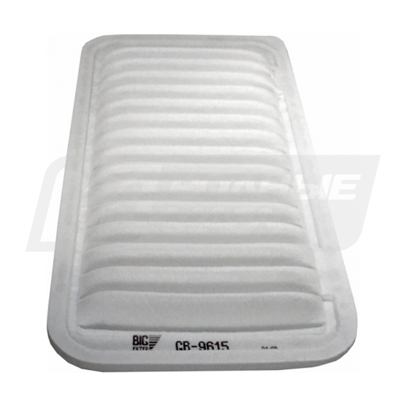BIG FILTER GB-9615 (A1003, Toyota 178010D010, 178010D020, SU0030031900) GB9615